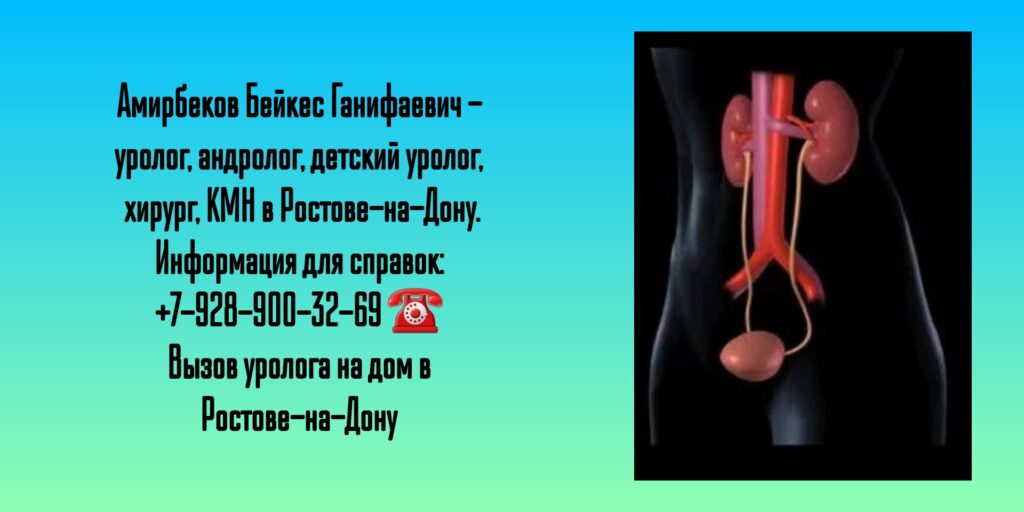 Врач уролог в Ростове-на-Дону - Амирбеков Бейкес Ганифаевич 