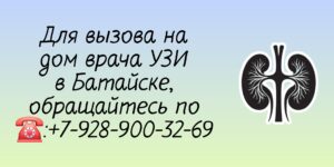 Батайск УЗИ почек на дому