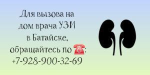 Батайск УЗИ почек на дому
