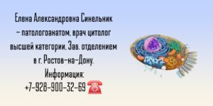 Синельник Елена Александровна - цитолог Ростов   Синельник Елена Александровна - цитолог Ростов   Елена Александровна Синельник - патологоанатом, врач цитолог высшей категории, Зав. отделением в г. Ростов-на-Дону.  Информация: +7-928-900-32-69☎️    Гистологический анализ: когда нужна помощь врача-цитолога   Гистологический анализ — это исследование тканей под микроскопом для выявления патологических изменений на клеточном и тканевом уровне. Врач-цитолог, специализирующийся на гистологии, проводит детальный разбор структуры биоптатов (кусочков ткани) или мазков-отпечатков, чтобы поставить точный диагноз.   Когда необходима консультация специалиста?   Помощь врача-цитолога-гистолога требуется в следующих случаях:   - Подозрение на онкологическое заболевание: при обнаружении подозрительных образований (узлы, уплотнения) врач назначает биопсию с последующим гистологическим исследованием для подтверждения диагноза и определения типа опухоли. - Неясные результаты первичного анализа: если заключение первичной лаборатории неоднозначно или вызывает сомнения у лечащего врача, проводится пересмотр препаратов специалистом более высокой квалификации. - Необходимость дифференциальной диагностики: например, отличить доброкачественное образование от злокачественного, определить степень активности воспалительного процесса или выявить редкие заболевания. - Контроль эффективности лечения: после операции или курса терапии цитолог оценивает состояние клеток и тканей, что помогает понять, насколько успешно прошло лечение. - Профилактические осмотры: регулярное цитологическое исследование мазков (например, ПАП-тест) позволяет выявлять предраковые изменения шейки матки на ранних стадиях.   Врач-цитолог не только описывает увиденное под микроскопом, но и даёт клиническую интерпретацию результатов, помогая другим специалистам выбрать правильную тактику ведения пациента. Своевременная консультация такого эксперта значительно повышает точность диагностики и снижает риск ошибок, особенно в сложных медицинских ситуациях.   Синельник Елена Александровна - цитолог Ростов   Елена Александровна Синельник - патологоанатом, врач цитолог высшей категории, Зав. отделением в г. Ростов-на-Дону.  Информация: +7-928-900-32-69☎️      ЕЛЕНА АЛЕКСАНДРОВНА СИНЕЛЬНИК Заведующая морфологии ОКБ-2;