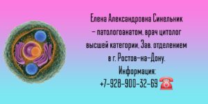 Синельник Елена Александровна - цитолог Ростов   Синельник Елена Александровна - цитолог Ростов   Елена Александровна Синельник - патологоанатом, врач цитолог высшей категории, Зав. отделением в г. Ростов-на-Дону.  Информация: +7-928-900-32-69☎️    Гистологический анализ: когда нужна помощь врача-цитолога   Гистологический анализ — это исследование тканей под микроскопом для выявления патологических изменений на клеточном и тканевом уровне. Врач-цитолог, специализирующийся на гистологии, проводит детальный разбор структуры биоптатов (кусочков ткани) или мазков-отпечатков, чтобы поставить точный диагноз.   Когда необходима консультация специалиста?   Помощь врача-цитолога-гистолога требуется в следующих случаях:   - Подозрение на онкологическое заболевание: при обнаружении подозрительных образований (узлы, уплотнения) врач назначает биопсию с последующим гистологическим исследованием для подтверждения диагноза и определения типа опухоли. - Неясные результаты первичного анализа: если заключение первичной лаборатории неоднозначно или вызывает сомнения у лечащего врача, проводится пересмотр препаратов специалистом более высокой квалификации. - Необходимость дифференциальной диагностики: например, отличить доброкачественное образование от злокачественного, определить степень активности воспалительного процесса или выявить редкие заболевания. - Контроль эффективности лечения: после операции или курса терапии цитолог оценивает состояние клеток и тканей, что помогает понять, насколько успешно прошло лечение. - Профилактические осмотры: регулярное цитологическое исследование мазков (например, ПАП-тест) позволяет выявлять предраковые изменения шейки матки на ранних стадиях.   Врач-цитолог не только описывает увиденное под микроскопом, но и даёт клиническую интерпретацию результатов, помогая другим специалистам выбрать правильную тактику ведения пациента. Своевременная консультация такого эксперта значительно повышает точность диагностики и снижает риск ошибок, особенно в сложных медицинских ситуациях.   Синельник Елена Александровна - цитолог Ростов   Елена Александровна Синельник - патологоанатом, врач цитолог высшей категории, Зав. отделением в г. Ростов-на-Дону.  Информация: +7-928-900-32-69☎️      ЕЛЕНА АЛЕКСАНДРОВНА СИНЕЛЬНИК Заведующая морфологии ОКБ-2;