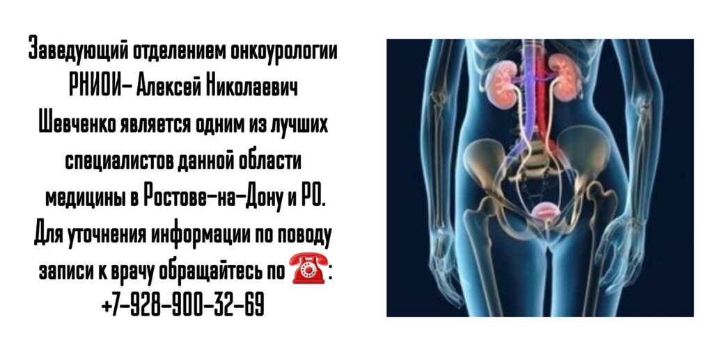 Шевченко Алексей Николаевич - врач онколог-уролог в Ростове-на-Дону 