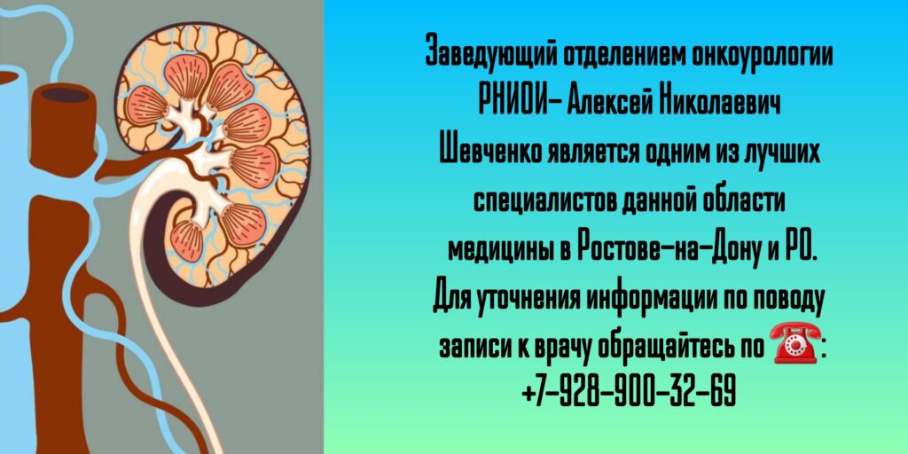 Шевченко Алексей Николаевич - врач онколог-уролог в Ростове-на-Дону 