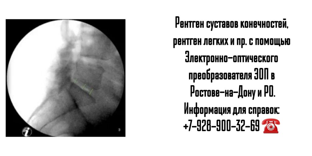 Выездной рентген (ЭОП) для животных в Ростове-на-Дону и РО 
