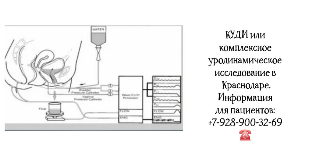 Комплексное уродинамическое исследование - КУДИ в Краснодаре Шорников П.В